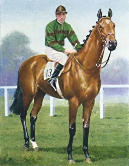 Wd Ho Prints: Mirza II, Jockey: H. Wragg, 1939