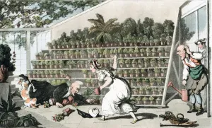 Incident Prints: Misfortune in the Tulip Hall, c1816. Artist: Thomas Rowlandson