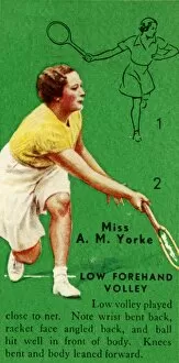 Demonstrating Gallery: Miss A. M. Yorke - Low Forehand Volley, c1935. Creator: Unknown