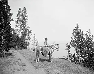 William H Prints: Miss Waters on pinto pony, between 1900 and 1915. Creator: William H. Jackson