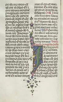 Bartolommeo Caporali Collection: Missale: Fol. 22v: Foliage with Fish, 1469. Creator: Bartolommeo Caporali (Italian, c