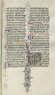 Bartolommeo Caporali Collection: Missale: Fol. 260: Foliage with Fruit, 1469. Creator: Bartolommeo Caporali (Italian, c