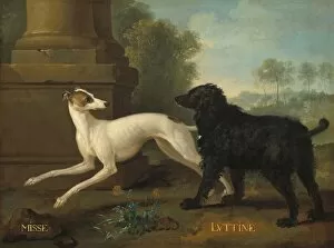 Pets Gallery: Misse and Luttine, 1729. Creator: Jean-Baptiste Oudry