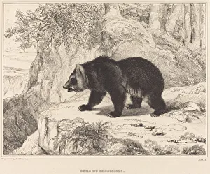 Mississippi Bear, 1836. Creator: Antoine-Louis Barye