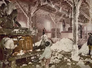 Cotton Gin Prints: Mississippi cotton gin at Dahomey, 1899. Creator: Unknown
