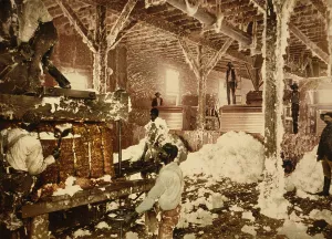 Cotton Gin Prints: Mississippi cotton gin at Dahomey, c1898. Creator: Unknown