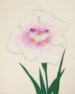 Misuji-No-Ito, No. 17, 1890, (colour woodblock print)