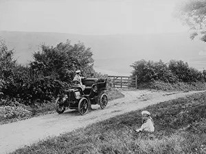 Hedge Prints: An MMC Wilmington Giant, 1902