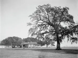 Club House Prints: Mobile Country Club, Mobile, Ala. between 1900 and 1906. Creator: Unknown