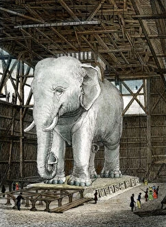 Model of the Elephant of the Place de la Bastille, c1834.Artist: Fenner Sears & Co