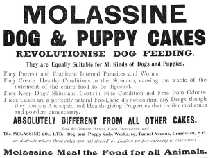 Molassine Dog & Puppy Cakes revolutionise dog feeding - equally suitable for all kinds of dogs, 1909 Creator: Unknown