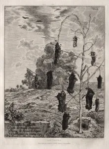 1833 1914 Prints: Moles, 1854, printed 1866. Creator: Felix Bracquemond (French, 1833-1914); Cadart