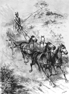 Durand G Prints: Monarch of all he surveys - A Donkey Driver at Durban