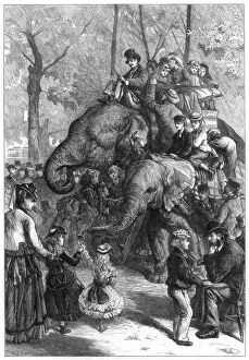 Monday afternoon at the zoological societys gardens, 1871.Artist: Charles Joseph Staniland