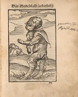 Calvin Gallery: Monk Calf of Freiberg (Das Monchskalb zu Freiberg), 1523