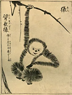 Dutton Gallery: Monkey, 1720, (1924). Creator: Tachibana Morikuni