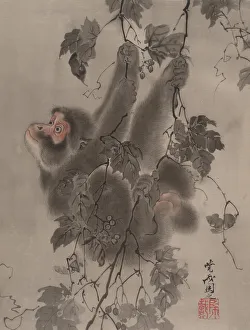 Kawanabe Kyosai Prints: Monkey Hanging from Grapevines, ca. 1887. Creator: Kawanabe Kyosai