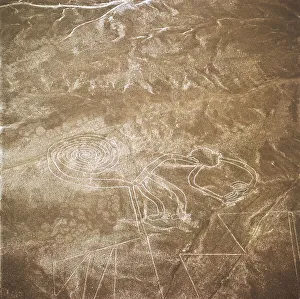 The Monkey, Nazca Lines, Ica, Peru, 2015. Creator: Luis Rosendo