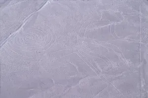 The Monkey, Nazca Lines, Ica, Peru, 2015. Creator: Luis Rosendo