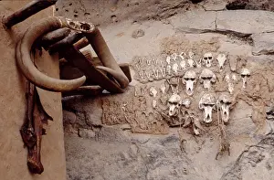 Horns Prints: Monkey skulls, Bandiagara Escarpment, Pays Dogon, Mali, 1990. Creator: Amanda Waite