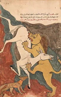 Syrian Prints: The Monkey Tells the Story of the Fox Luring the Ass to its Death by the Lion
