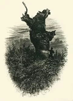 Anthropomorphic Collection: The Monkey Tree. Burnham Beeches, c1870