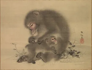 Monkeys, late 18th-early 19th century. Creator: Mori Sosen (Japanese, 1747-1821)