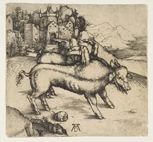 Deformed Prints: The Monstrous Pig of Landser, ca. 1496. Creator: Albrecht Durer