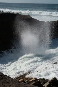 Rough Prints: Montana de Oro, San Luis Obispo, California, USA, 2022. Creator: Ethel Davies