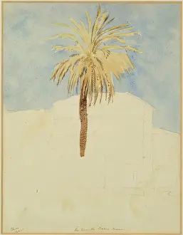 Jw Giles Prints: On Monte Calio, Rome - Palm Tree, 1825. Creator: James William Giles