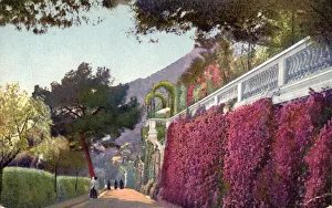 Climbing Plants Prints: Monte Carlo, 1939. Creator: Unknown