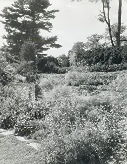 Montebello, Gordonsville, Orange County, Virginia, 1933. Creator: Frances Benjamin Johnston. Montebello, Gordonsville, Orange County, Virginia, 1933. Creator: Frances Benjamin Johnston