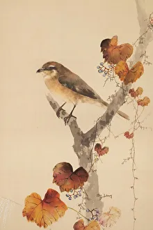 Ink On Silk Prints: The Twelve Months: Eleventh Month, between 1900 and 1918. Creator: Watanabe Seitei