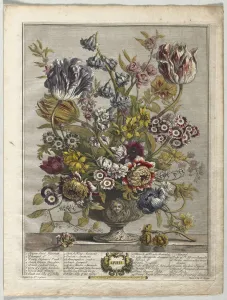 Henry Fletcher Prints: Twelve Months of Flowers: April, 1730. Creator: Henry Fletcher (British, active 1715-38)