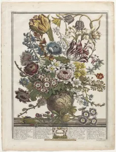 Henry Fletcher Prints: Twelve Months of Flowers: March, 1730. Creator: Henry Fletcher (British, active 1715-38)