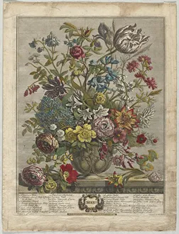 Henry Fletcher Prints: Twelve Months of Flowers: May, 1730. Creator: Henry Fletcher (British, active 1715-38)