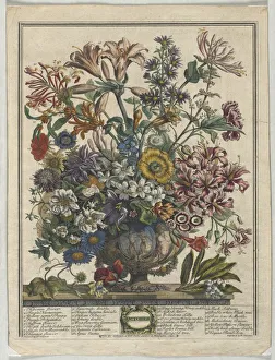 Henry Fletcher Prints: Twelve Months of Flowers: October, 1730. Creator: Henry Fletcher (British, active 1715-38)