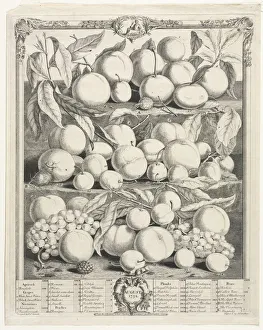 Henry Fletcher Prints: Twelve Months of Fruit: August, 1732. Creator: Henry Fletcher (British, active 1715-38)
