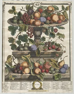 Twelve Months of Fruit: June, 1732. Creator: Henry Fletcher (British, active 1715-38)
