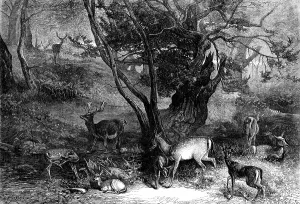 George Bouverie Goddard Prints: The Months: July, 1871. Creator: Horace Harral
