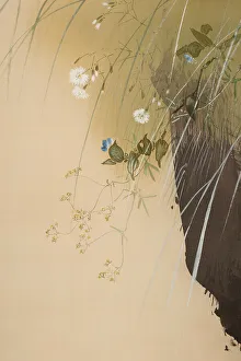 Ink On Silk Prints: The Twelve Months: Seventh Month, between 1900 and 1918. Creator: Watanabe Seitei