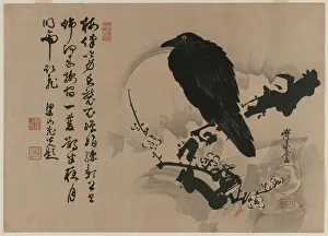Full Moon with Crow on Plum Branch, 1880s. Creator: Kawanabe Kyosai (Japanese, 1831-1889)