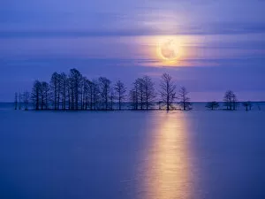 Water Surface Gallery: Moonlight Sonata. Creator: Eve Turek