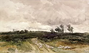 Guildhall Library Art Gallery: Moorland Scene, 1878. Artist: Thomas Collier