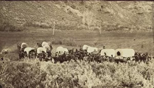 Conestoga Wagon Gallery: Mormon Emigrant Train, Echo Canyon, ca. 1870. Creator: Charles William Carter