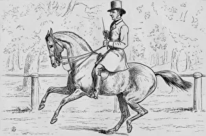 Cantering Prints: A Morning Canter in the Park, 1881. Creator: Samuel Sidney