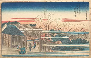 Cherry Trees Collection: Morning Cherries at Yoshiwara. Creator: Ando Hiroshige