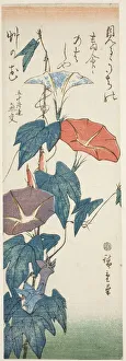 Convolvulus Arvensis Prints: Morning Glories, c. 1840s. Creator: Ando Hiroshige