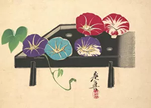 Zeshin Gallery: Morning Glories, ca. 1860. ca. 1860. Creator: Shibata Zeshin