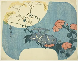 Morning Glories, Pinks, and Maiden Flower, from the series 'Seven Autumn Flowers in Morning Glories, Pinks, and Maiden Flower, from the series 'Seven Autumn Flowers in